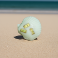 Coquillage Gardénia - Écrin fleuri des marées